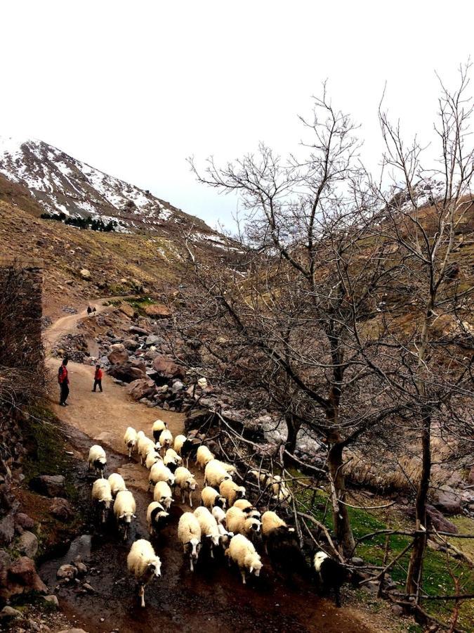 Gite Entre Les Vallees Tacheddirt Εξωτερικό φωτογραφία